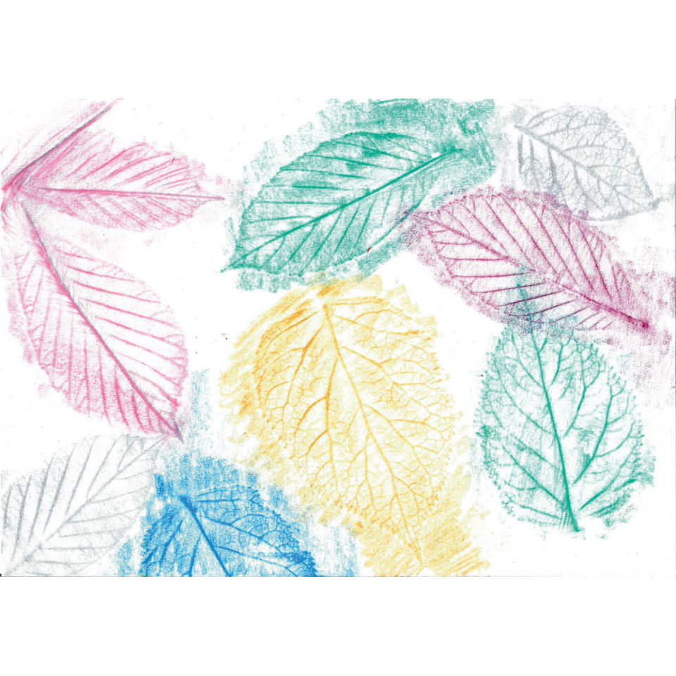 Laub Muster, bunte Blätter, mehrfarbig, Abdruck-Design, Naturmotiv