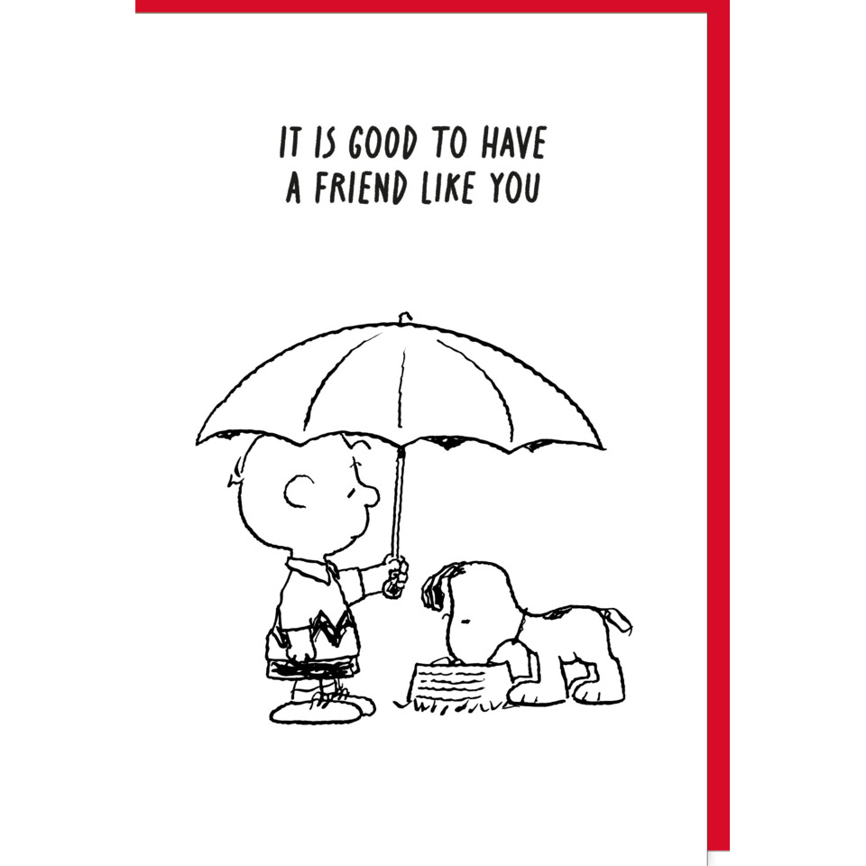 Regenschirm, Junge, Hund, Cartoon, Strichzeichnung