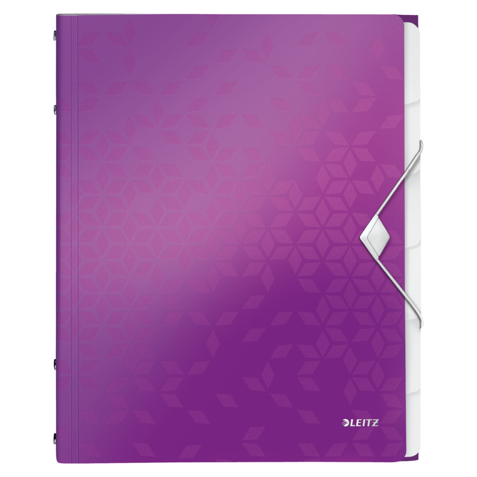 Jahresplaner, A4 Ordner, lila Cover, Gummiband, Leitz Marke, notebook, lilan?