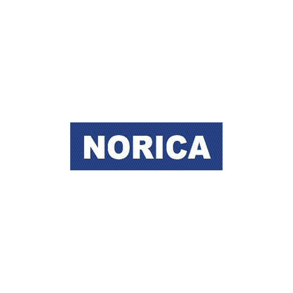 logo, Norica, blau, Text, Marke