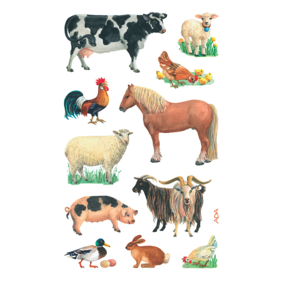 Rind, Schaf, Pferd, Schwein, Ziege
