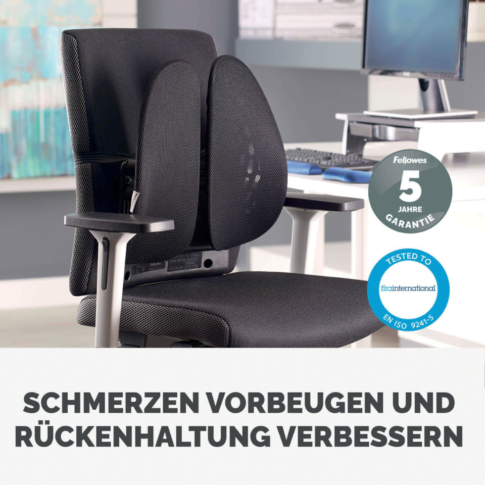 office chair, ergonomic, mesh back, armrests, black