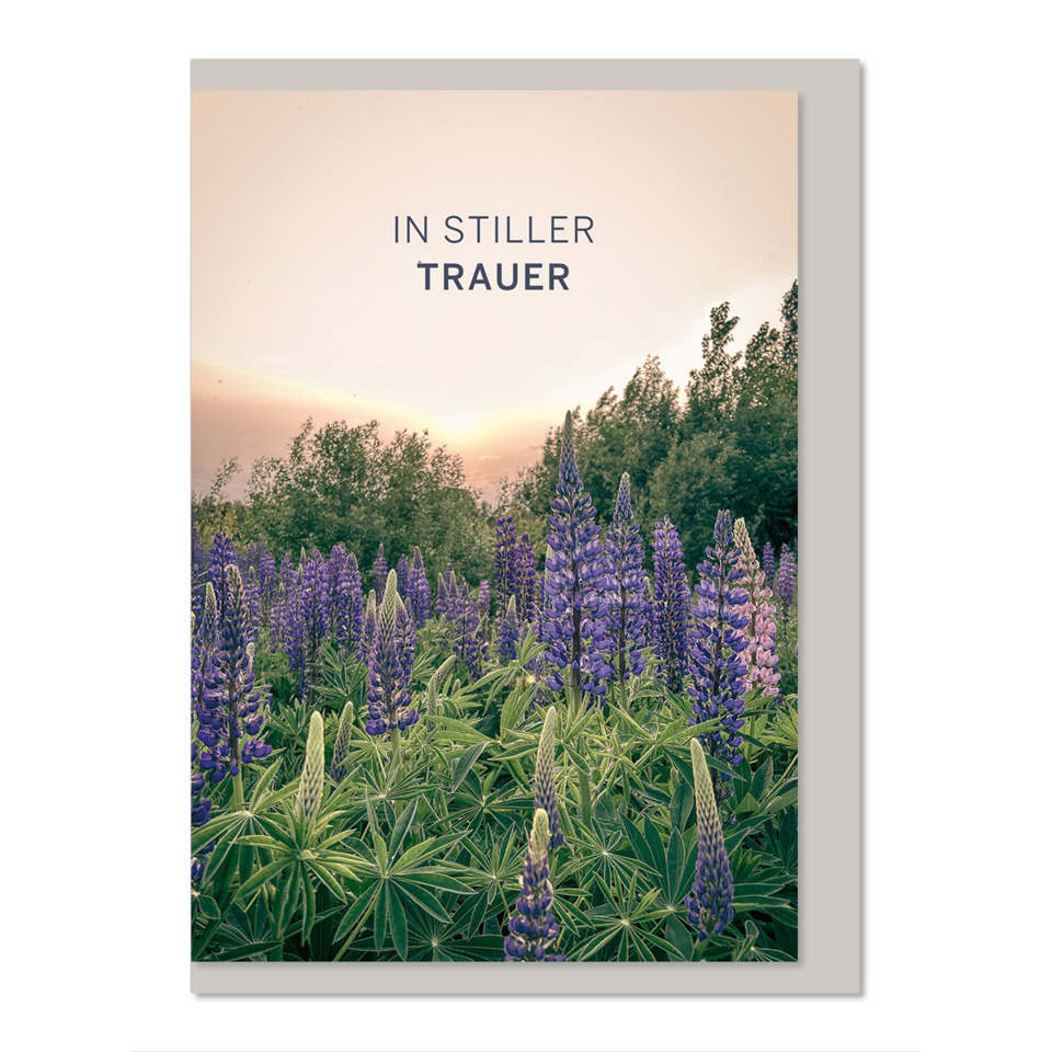 blumen, lupinen, pflanzenfeld, landschaft, poster