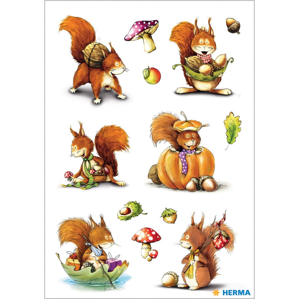Eichhörnchen, Pilz, Kürbis, Herbst, Blatt