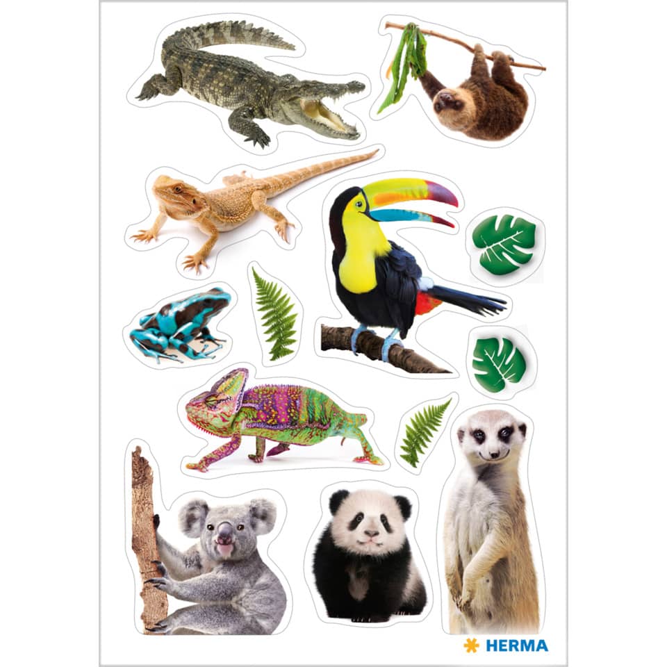 Krokodil, Chamäleon, Papagei, Farn, Koala