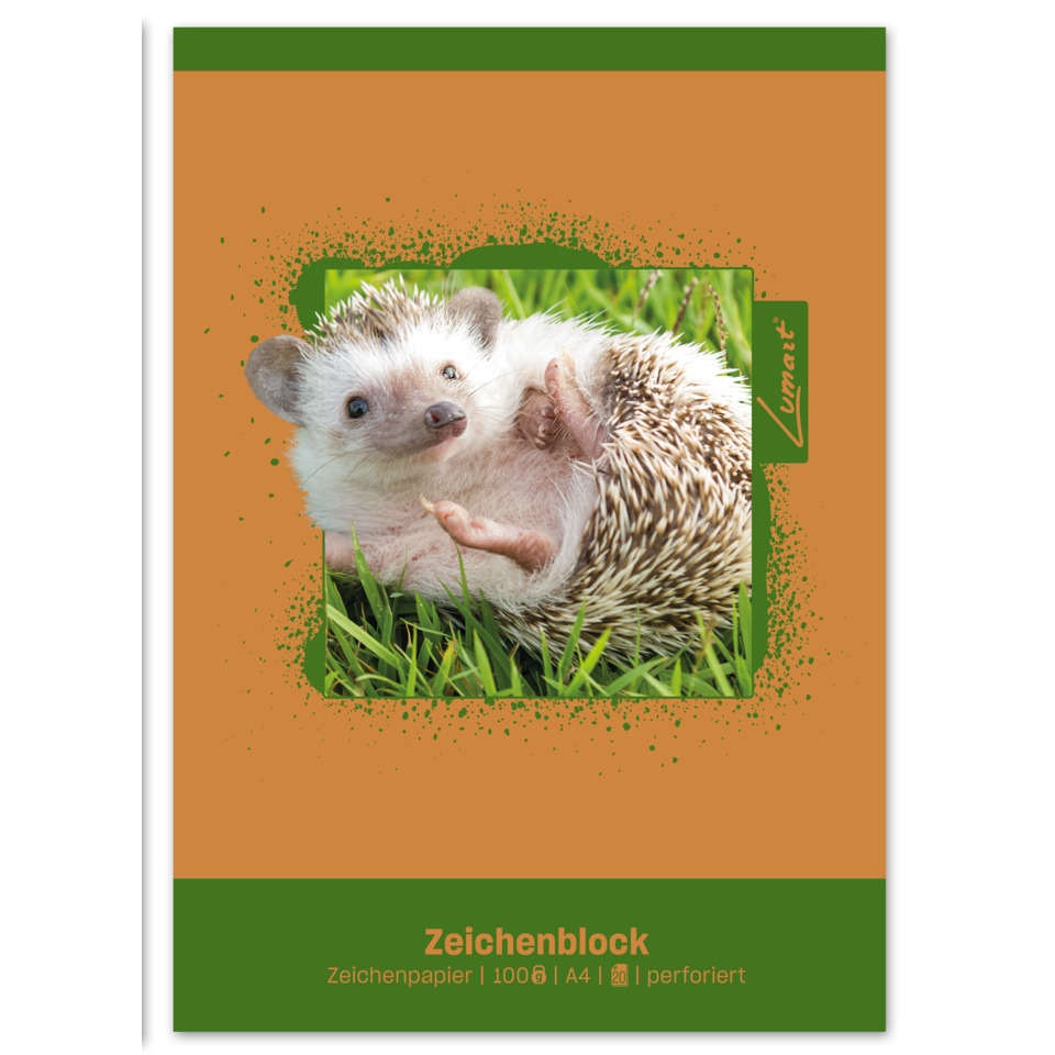 Hedgehog, Igel, Warthog, Tier, Grün, Orange, Rahmenbild, Muster, Tierfoto, Geänderung