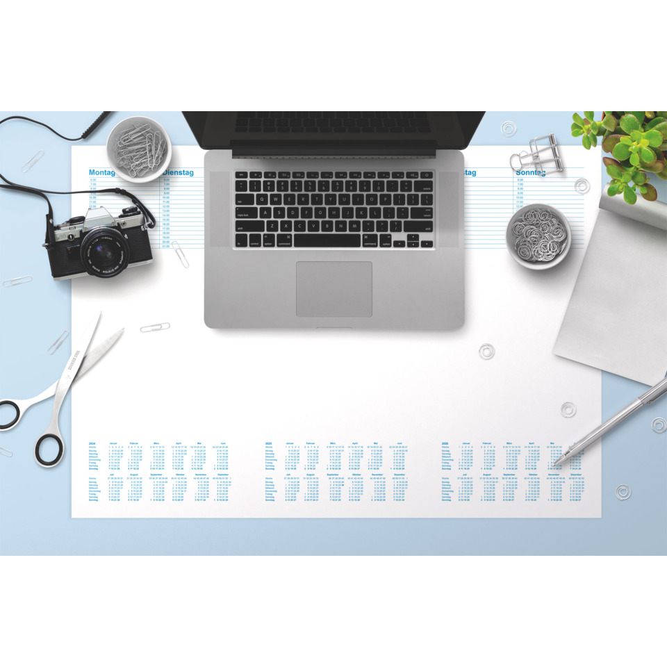 laptop, desk, photography, scissors, plant