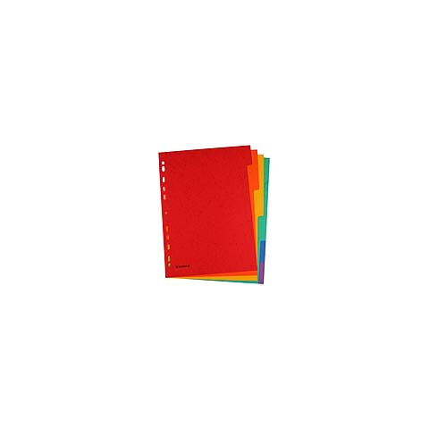 Kartonregister, A4, 225g/m², 6-teilig, blanko DONAU 8671006-99