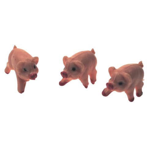 Tier, Säugetier, Schwein