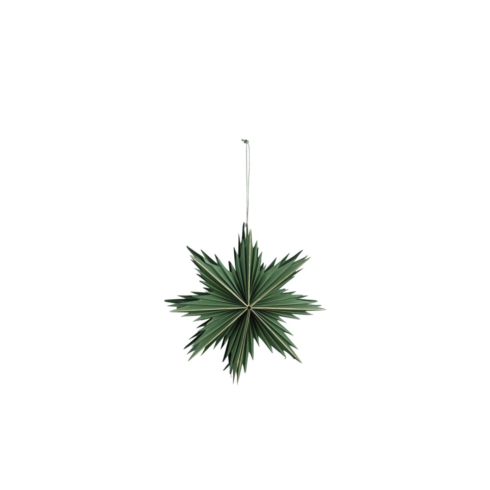 Deko-Stern, Palme, hängender Stern, Zweige, Grün
