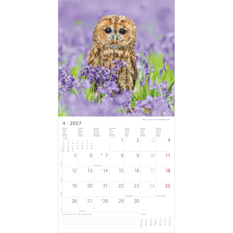 Eulenmotiv, Kalender, Eulenbild, Lilienfeld, Frühjahrskalender