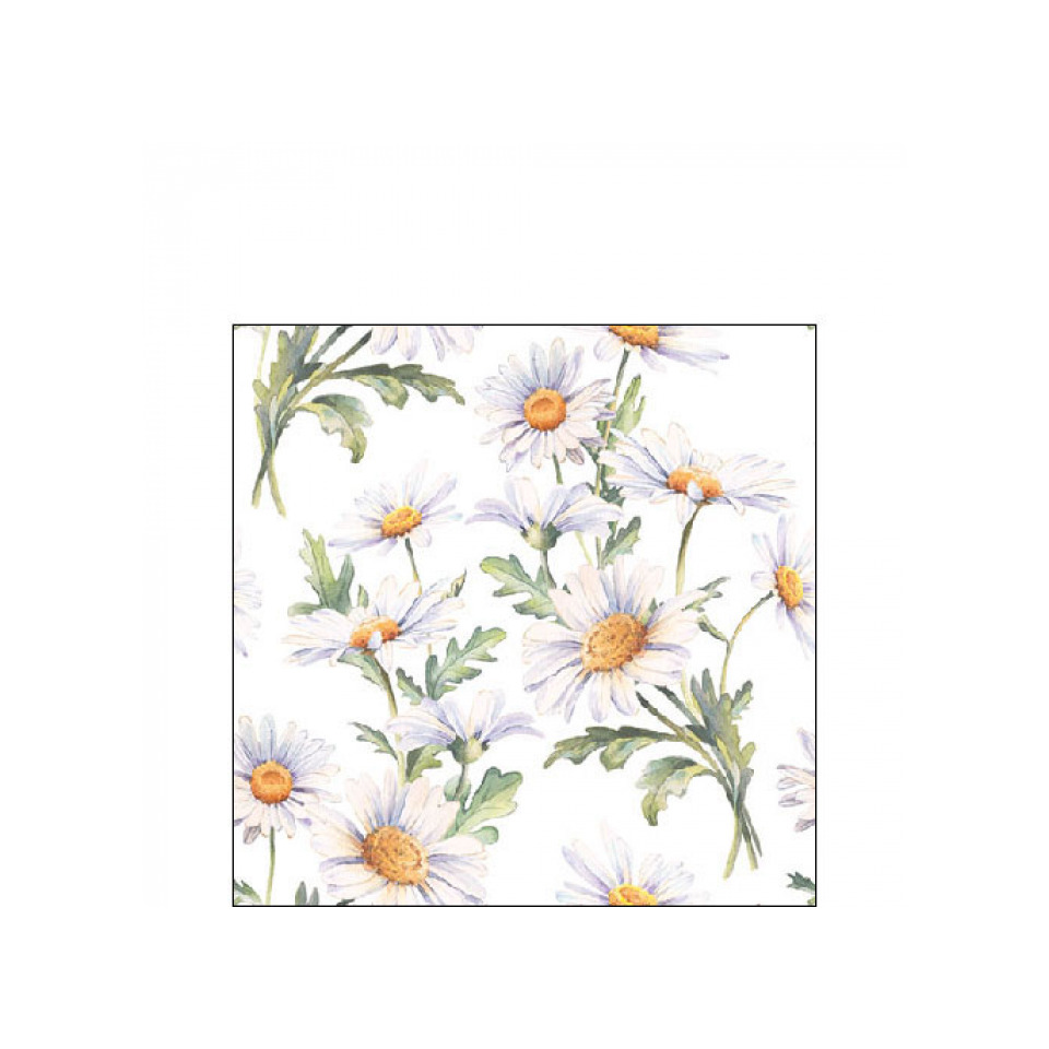Blumenmuster, Gänseblümchen, Daisy, Floral-Print, Stoff/Bedruckt