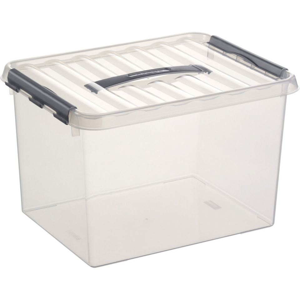 Aufbewahrungsbox, Klarbox, Aufbewahrung, Transparent, Griffschale
