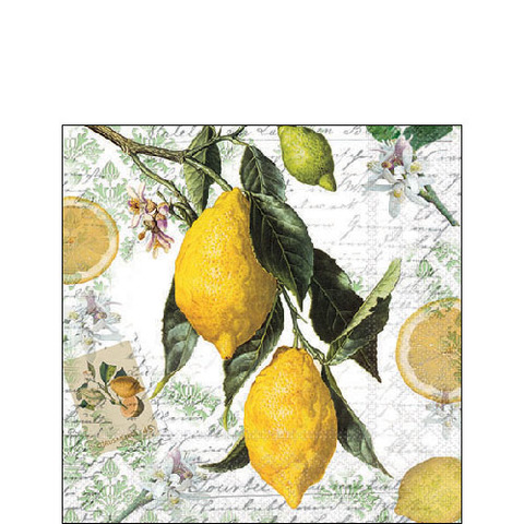 Zitrusfrucht, Obst, Zitrone, Produzieren, Orange