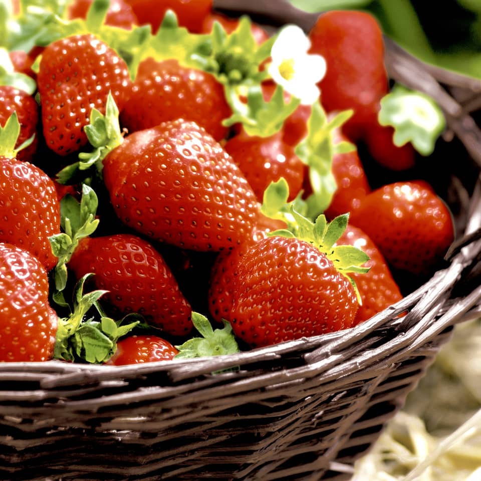 Erdbeeren, Erdbeeren (rot), Frisches Obst, Beeren, Korb