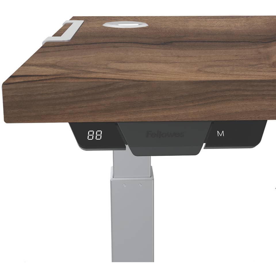 Moebel, Tabelle, Schreibtisch, Holz, Deckenventilator