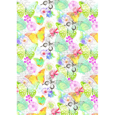 Secarerolle Premium, 250mx50cm ZÖWIE 8A8285