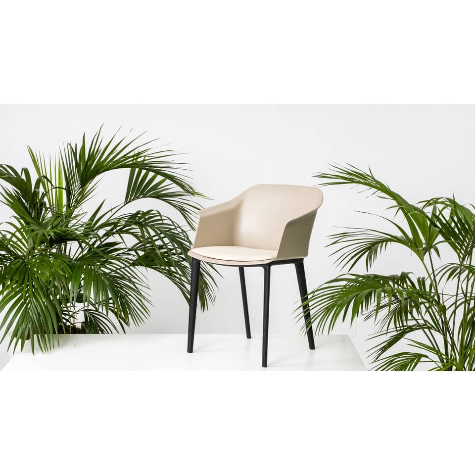 Moebel, Stuhl, Pflanze, Baum, Palme