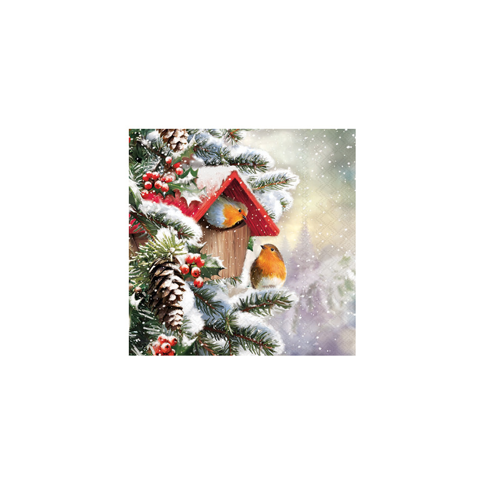 Vogelhaus, Vögel, Winter, Vogelfütterung, Fichte