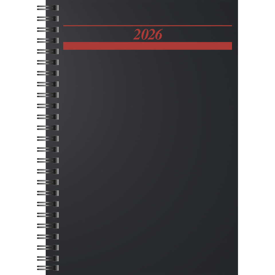 Tagebuch, Seite, Text