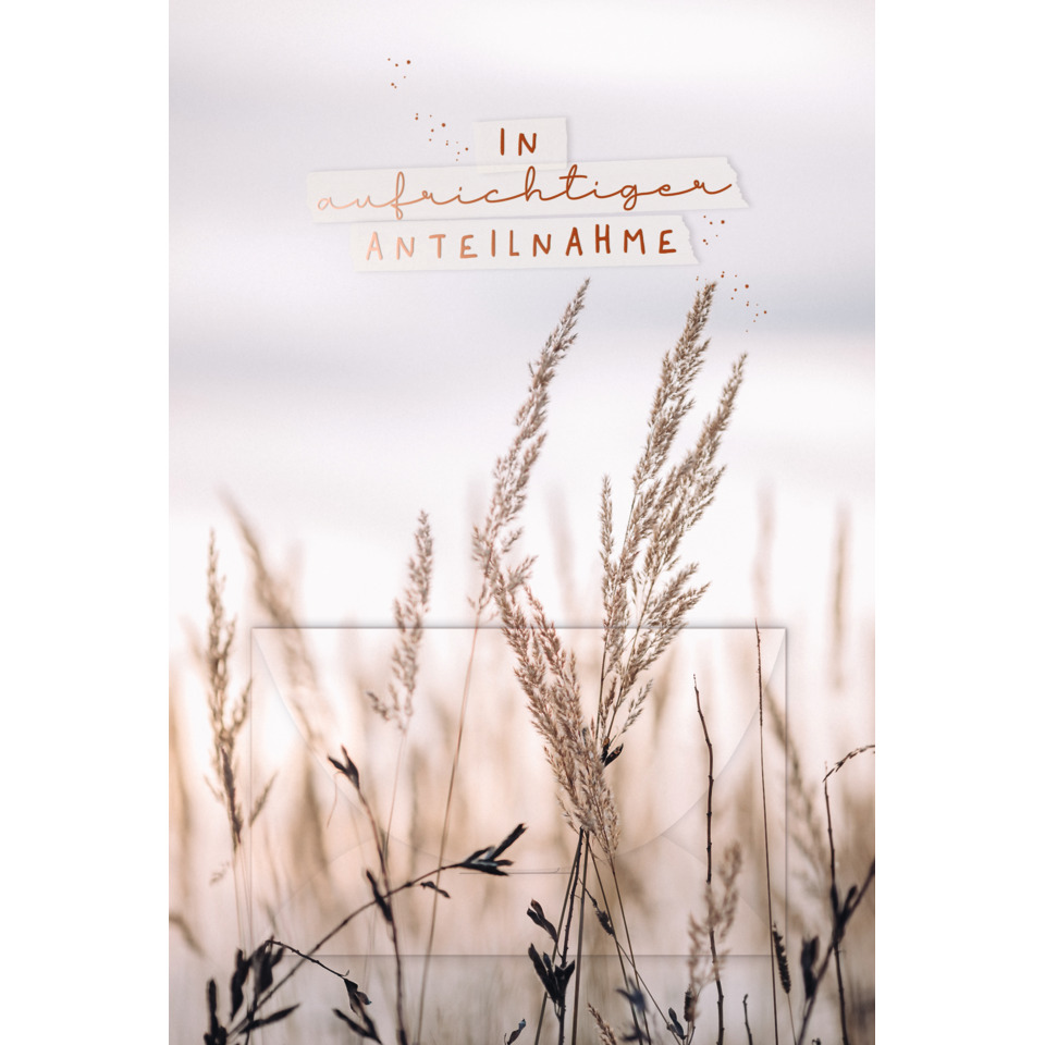 gras, grasfeld, pflanzen, natur, stoffen