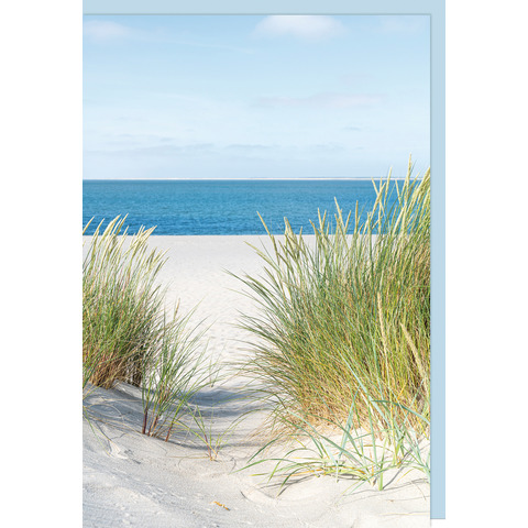 Gras, Strand, Meer, Boden, Bewuchs