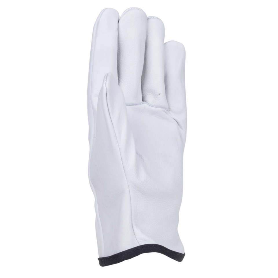 Handschuh, Leder, Weiß, musterlos, Winter