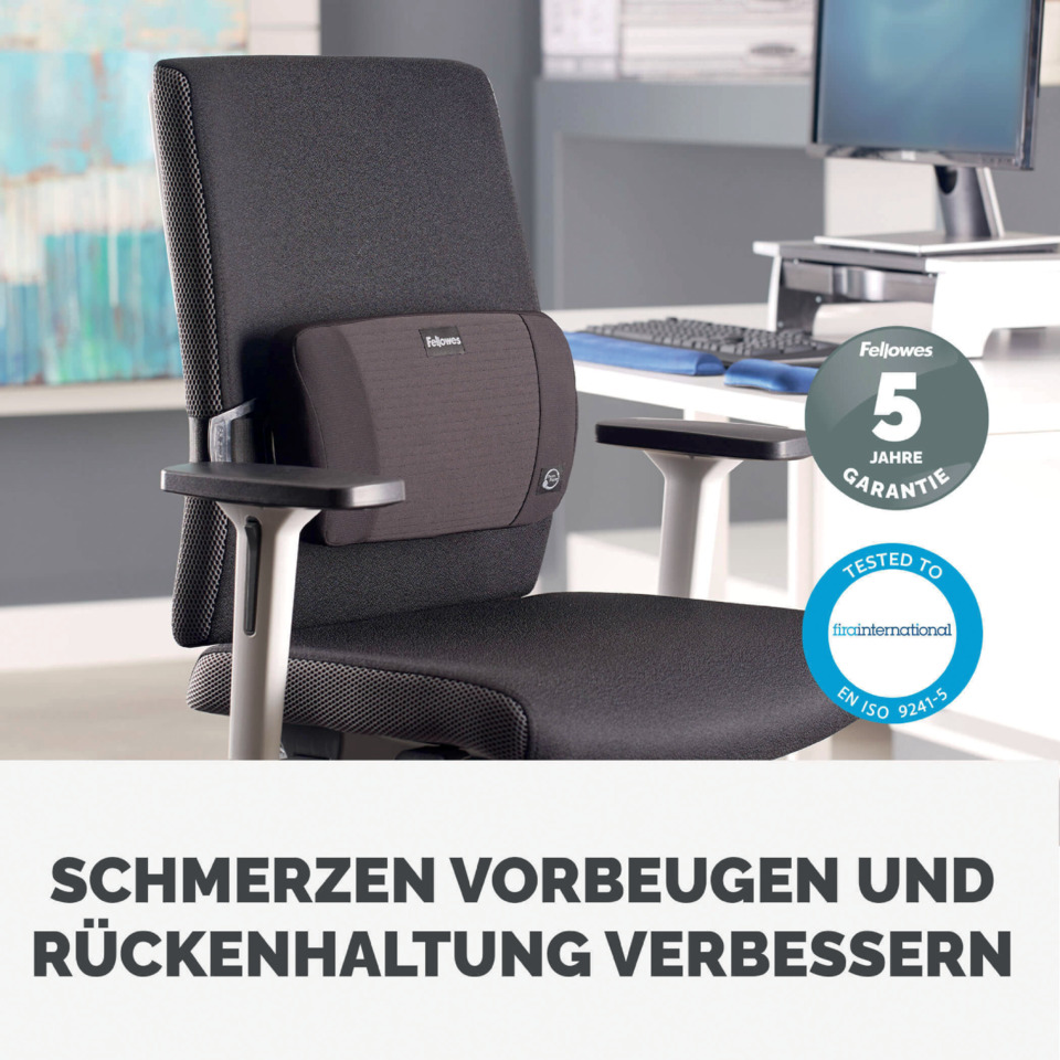 office chair, ergonomic, Mesh-Rücken, Kopfstütze, verstellbare Armlehnen