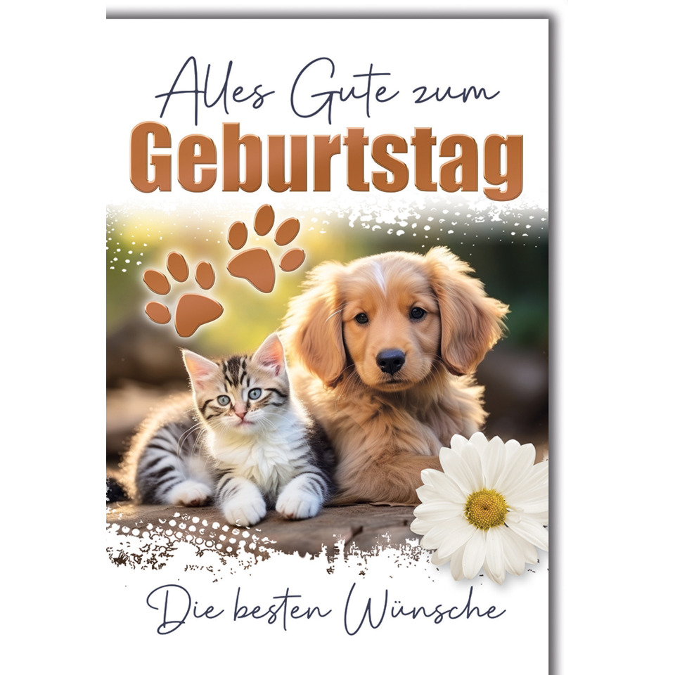 Hund, Katze, Blume, Pfote, Geburtstag