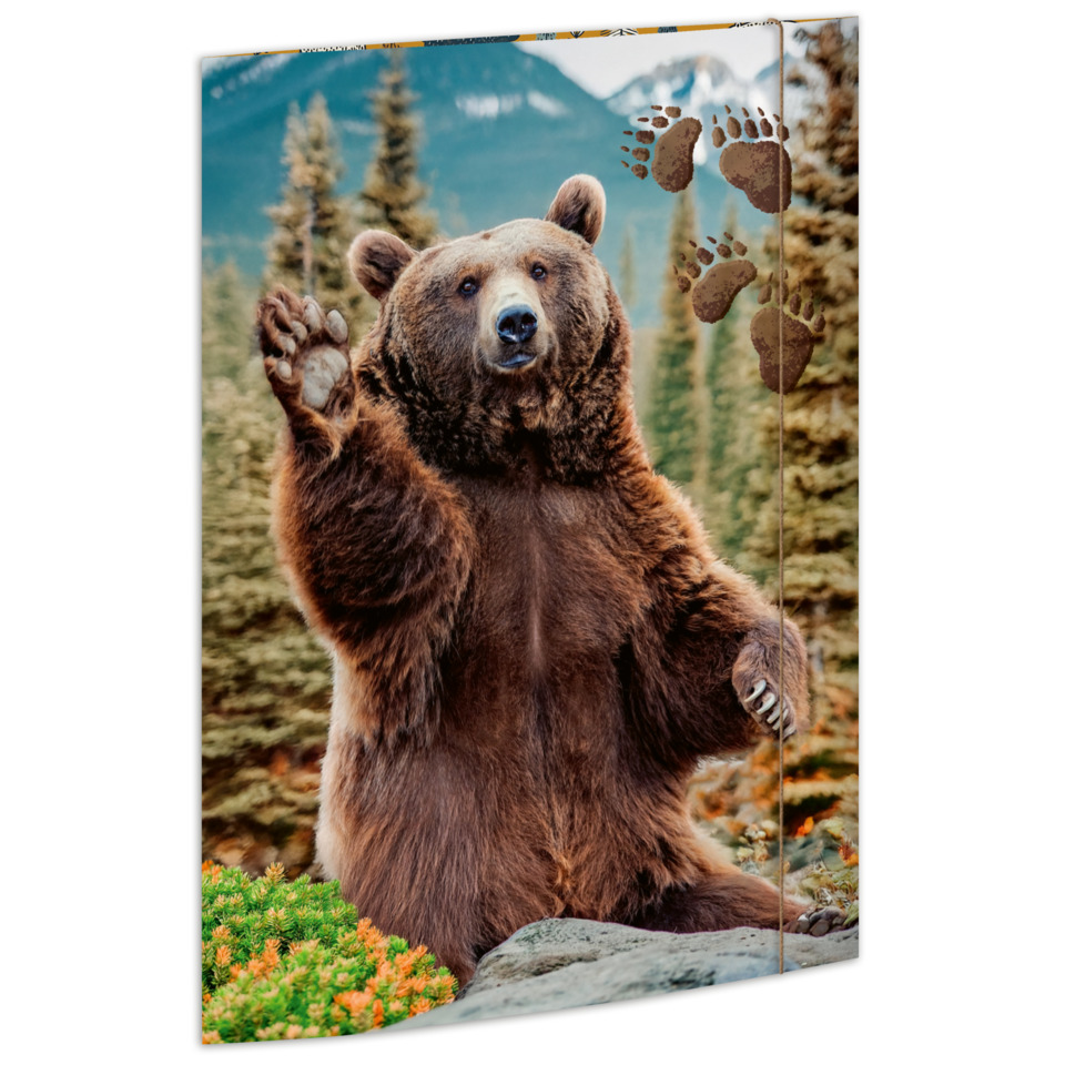 Bär, Tierbild, Wanddeko, Naturmotiv, Kunstbild