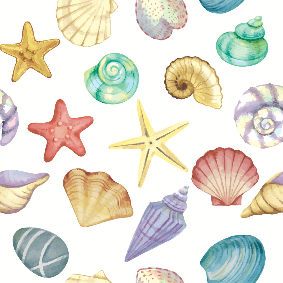 Tier, Wirbelloses Tier, Leben im Meer, Muschel, Tier, Leben im Meer, Muschel, Insekt