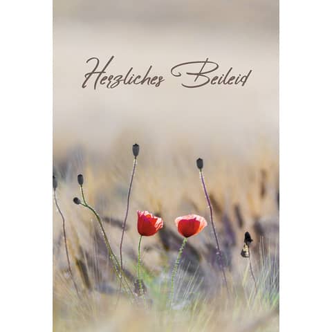 Trauerkarte Herzliches Beileid  81-1213