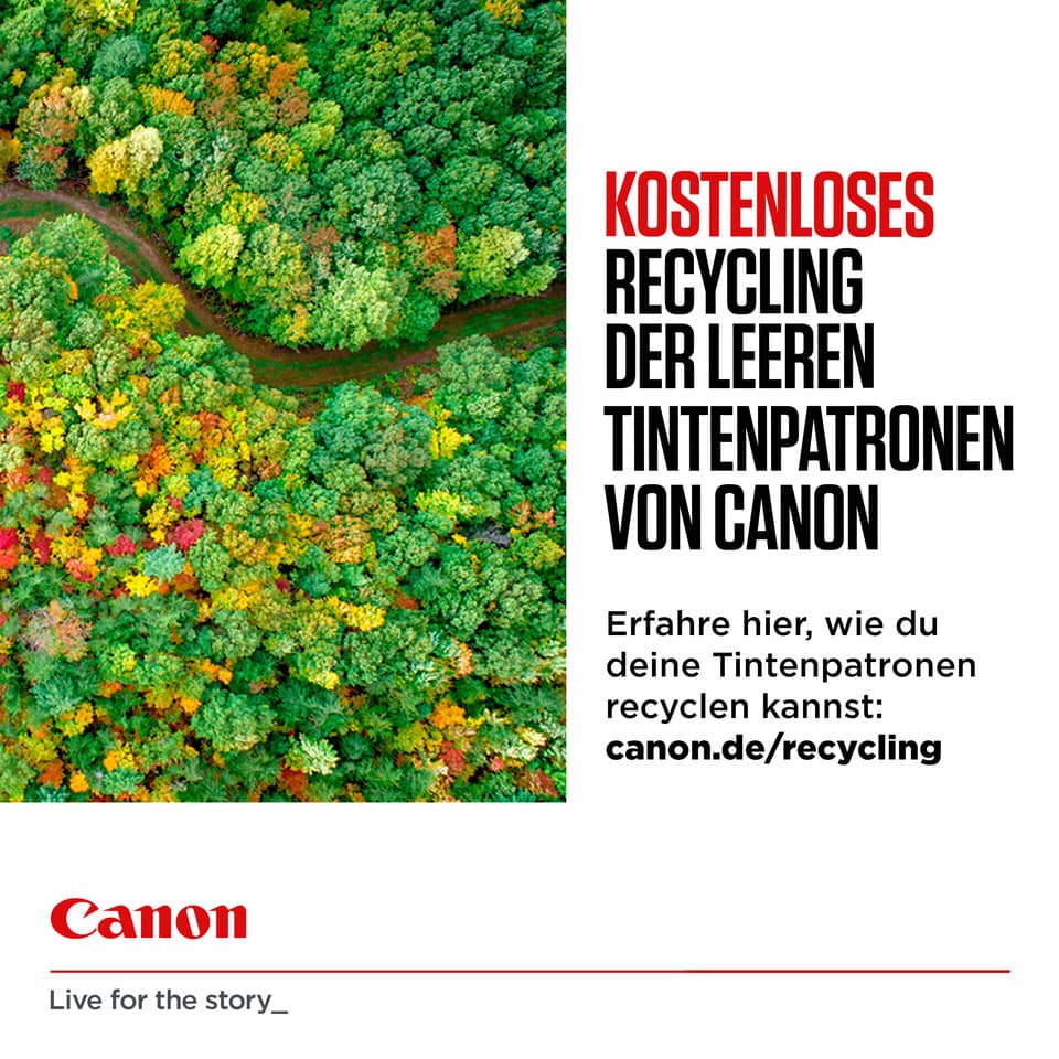 Wald, Baumdach, Blattfarbe, Luftbild, Baumkronen