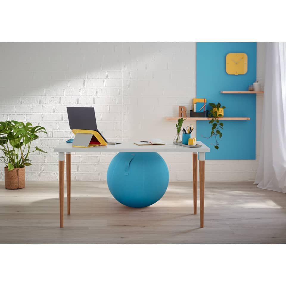 Schreibtisch, blaue Fitnessball, Regal-Dekoration, Topfpflanze, Laptop-Ständer
