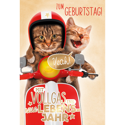 Werbung, Motorrad, Transport, Fahrzeug