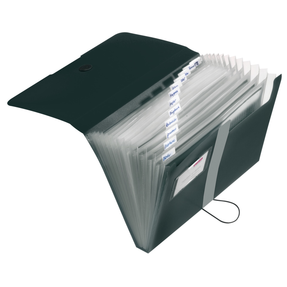 Datei organizer, Ordner, Index-Reiter, Ringbuch, Akkordeon-Ordner, Dokumentenordner, Ordner, Ablage, Dateiablage, Ringbuch