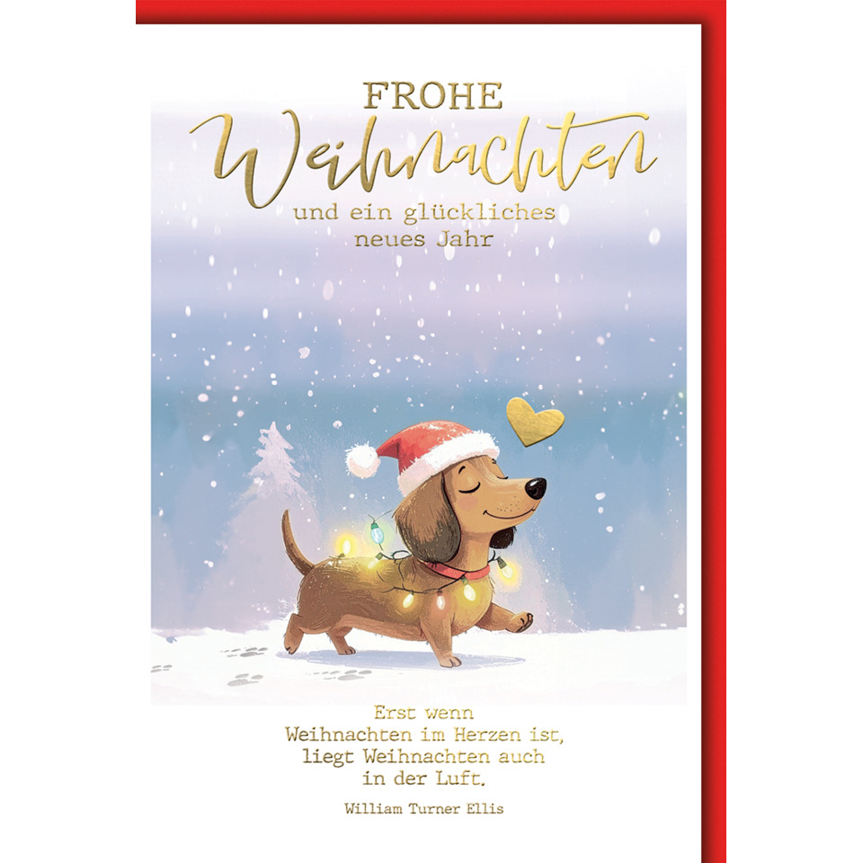 Weihnachtskarte, Hund, SANTA Hat, Lichterkette, Schnee