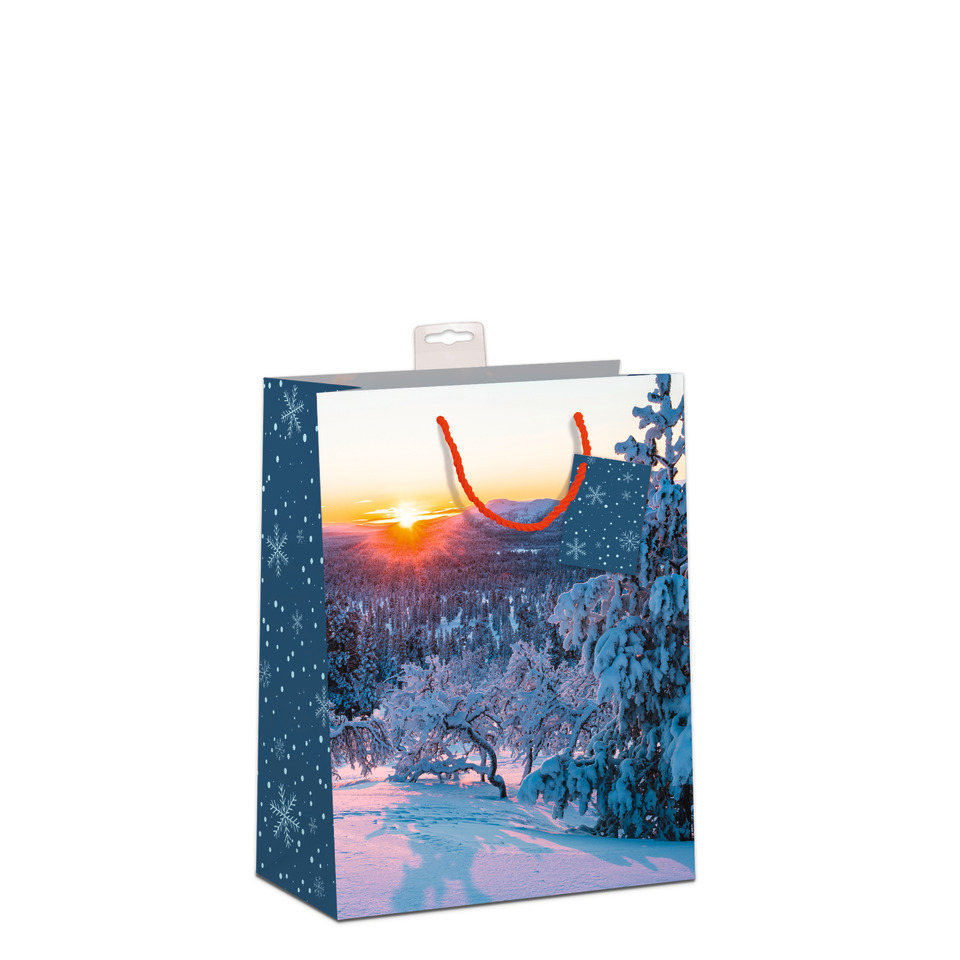 Tasche, Einkaufstasche, Tasche, Einkaufstasche, Kunst, Malerei, Tragetasche