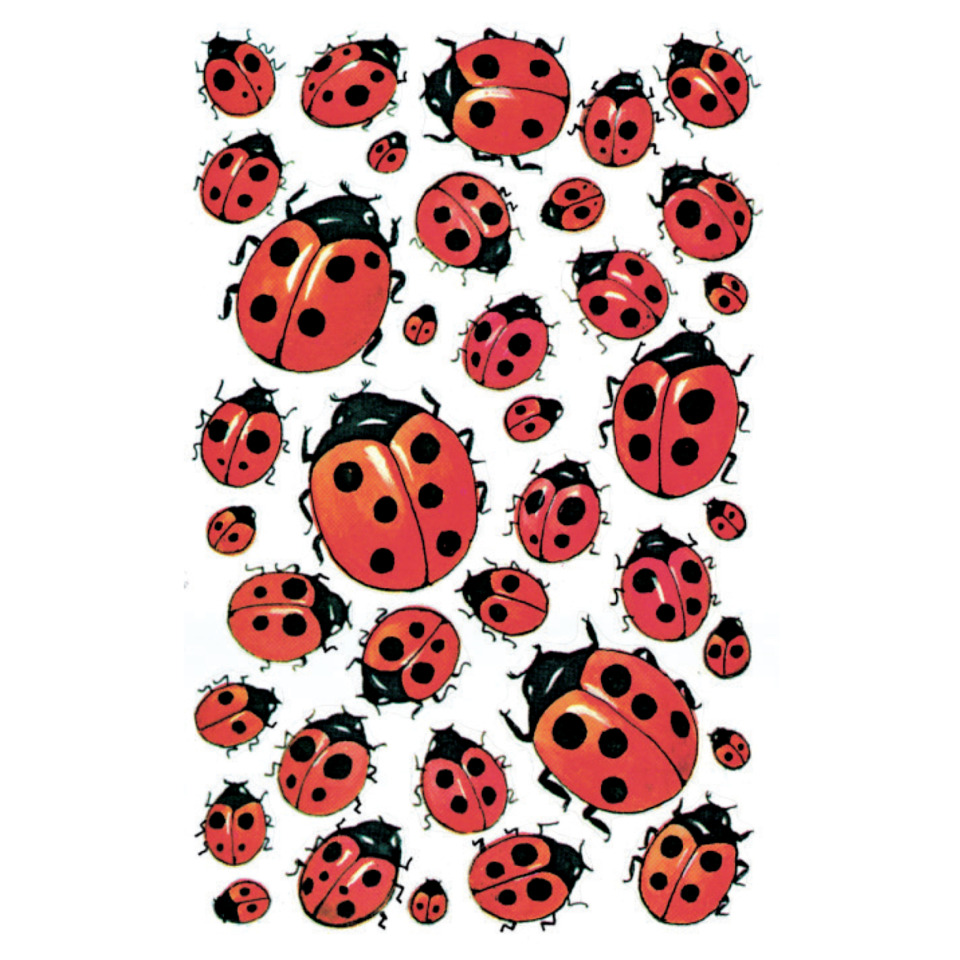  ladybug,  ladybirds,  insects,  red spott,  patterned