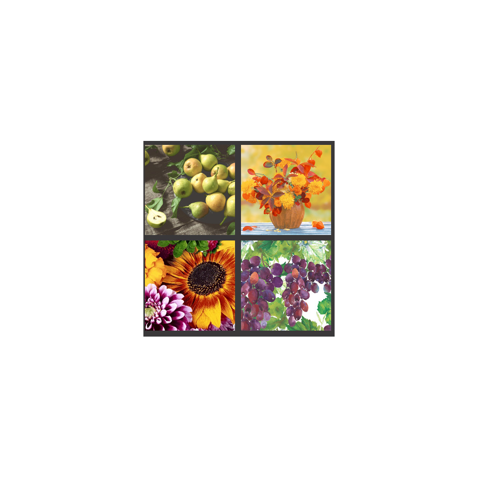Kunst, Collage, Pflanze, Obst, Produzieren, Kunst, Collage, Gänseblümchen, Blume, Blütenblatt