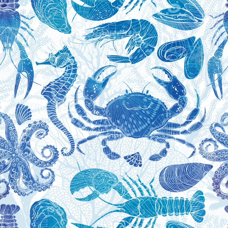 Meeresleben, Meereswelt, Krabbe, Oktopus, Muscheln