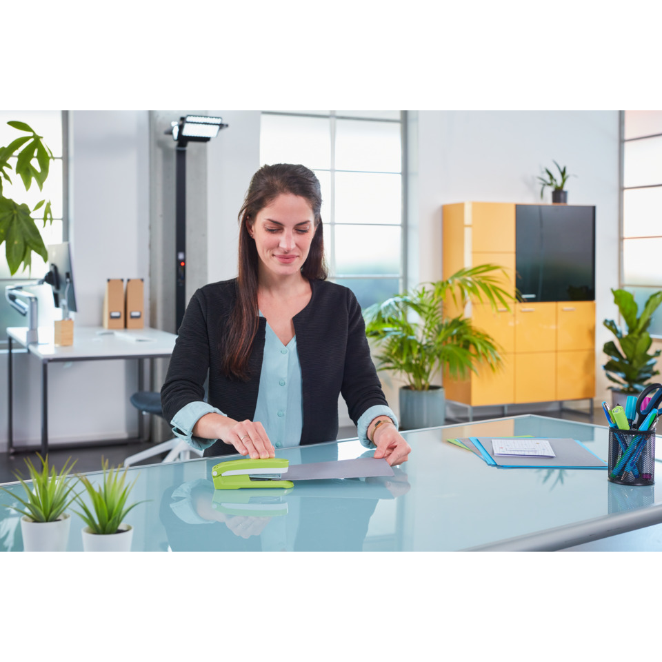 Schreibtisch, Büro, Klebebandabroller, Papier, Pflanze