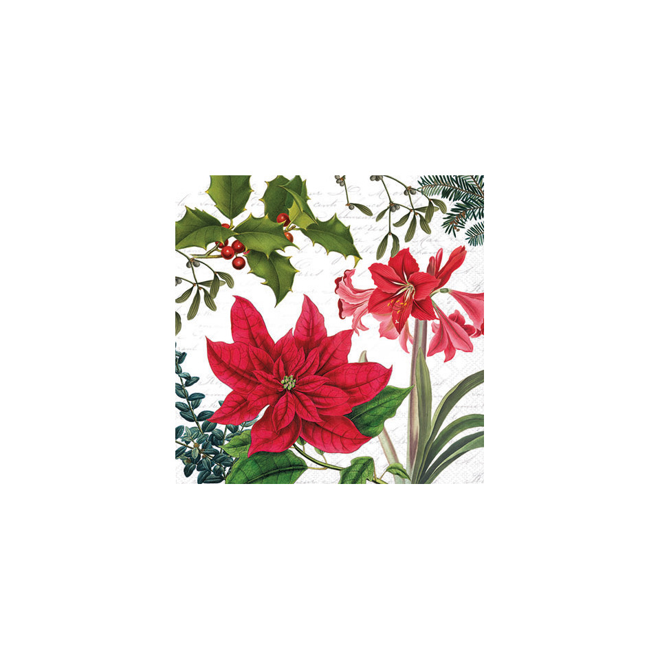 Poinsettie, rote Blüten, blumiges Muster, grüne Blätter, botanische Illustration
