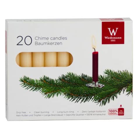 Pflanze, Baum, Kerze