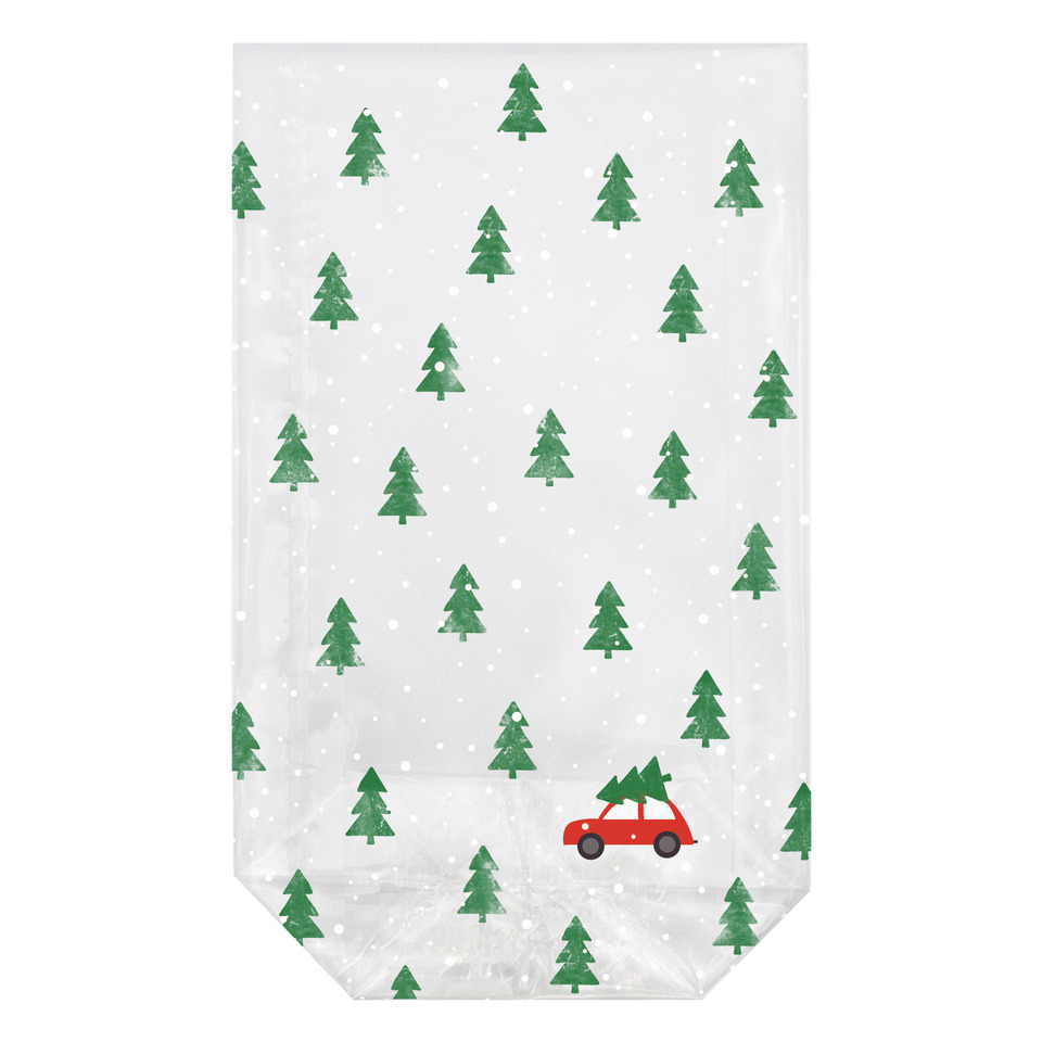 Weihnachts-Bodensack Little Red Car, 11,5x19cm, 10 Stück BRAUN+COMPANY 4761-0075
