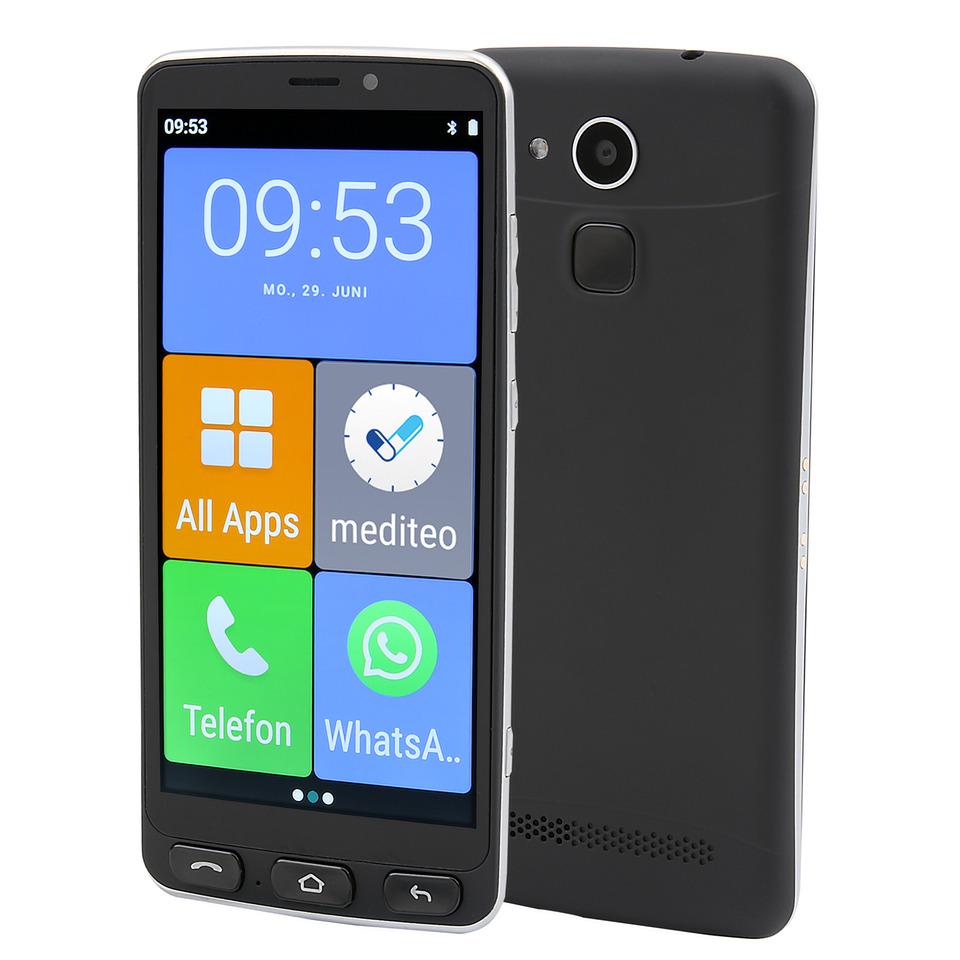 Smartphone, Touchscreen, Rückseite Kamera, Fronttasten, Dual-Display?