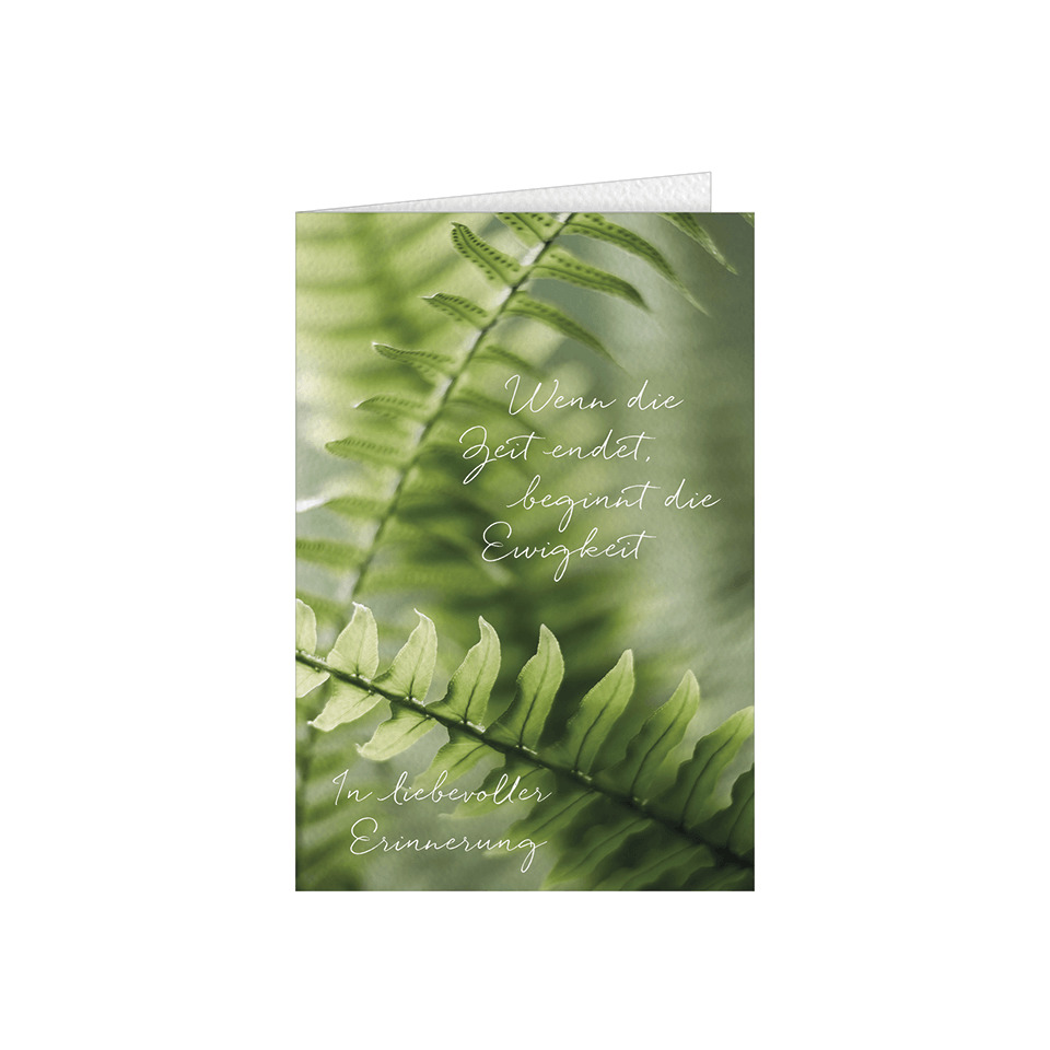 pflanzen, farbgrün, fern, blatt, kartengruß
