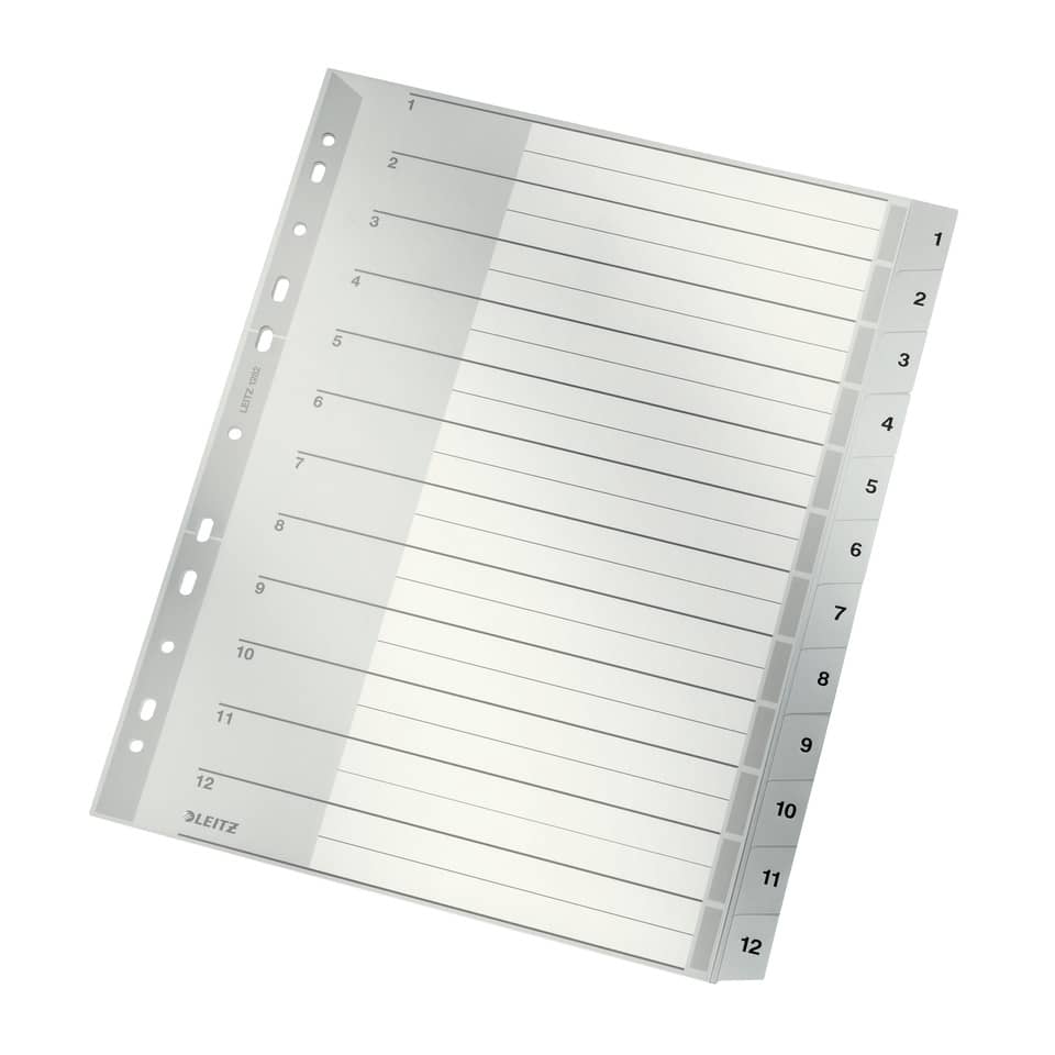 A4 - Planer, Ordner-Einlage, Gerillte Linien, Index-Reiter, Leitz-Marke (Logo)