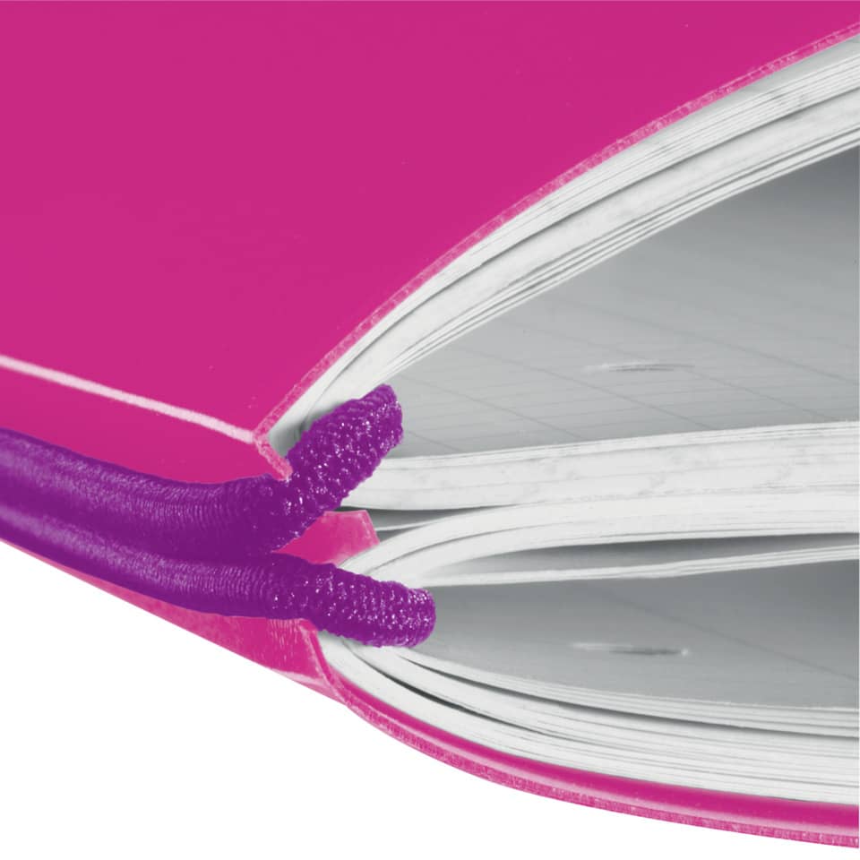 Buch, Veröffentlichung, Tagebuch