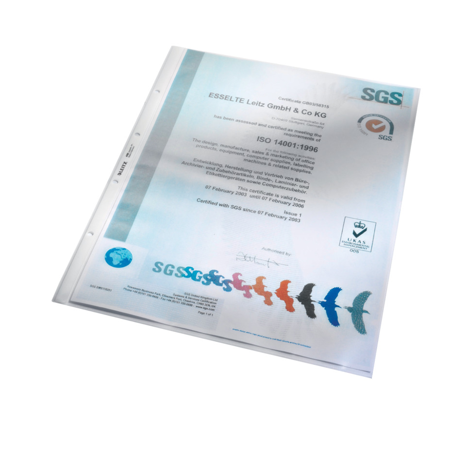 ISO 14001, Zertifikat, Dokument, SGS, zertifiziert